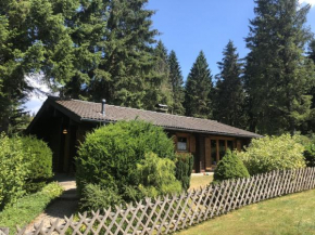 Гостиница Holiday home Ferienpark Am Waldsee 2  Клаусталь-Целлерфельд
